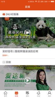 新闻爆料在哪里看啊视频,如何轻松观看“在哪里看啊视频”